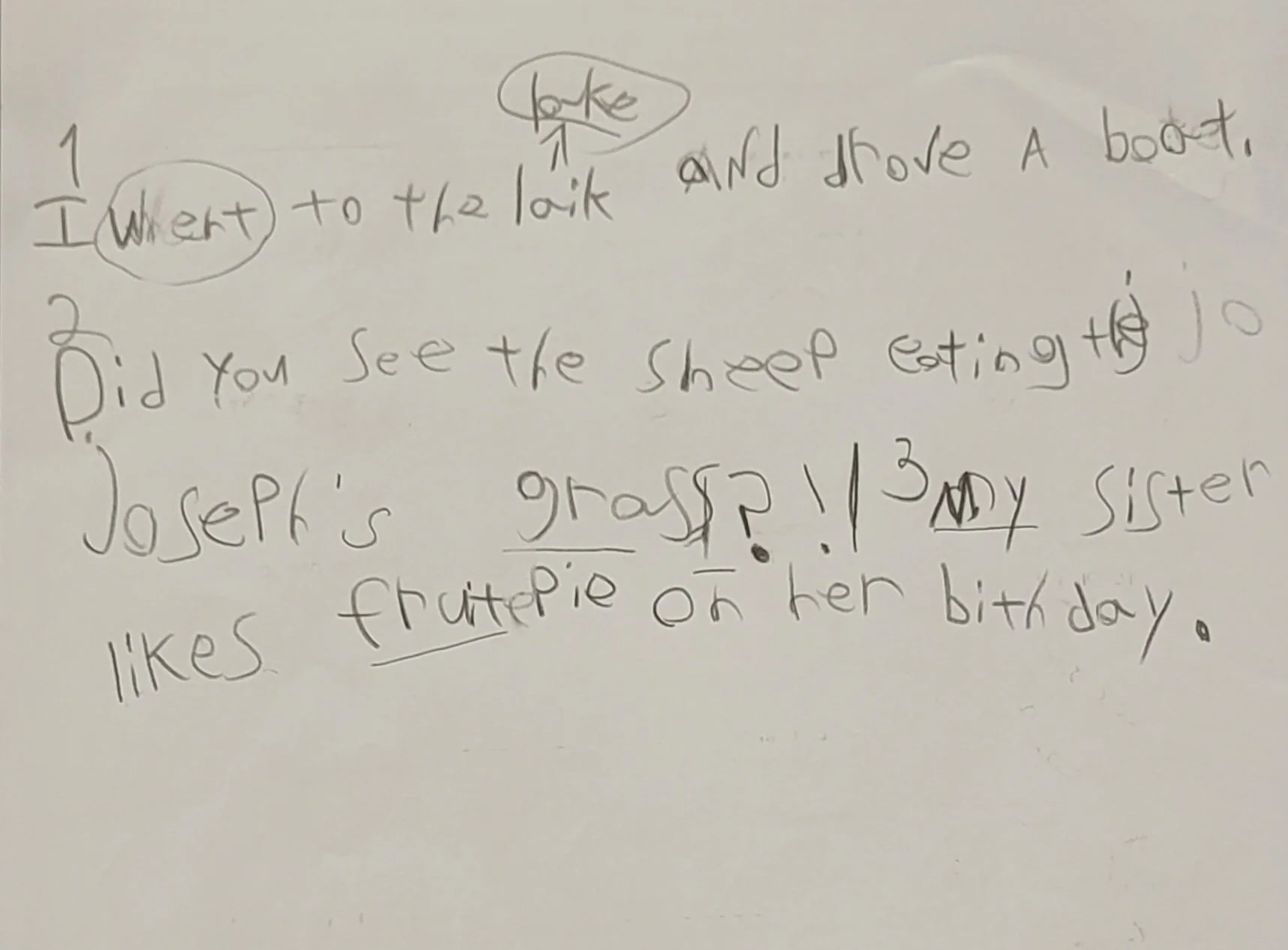 2nd Grader Practicing Spelling Patterns, Capitalization, and Punctuation (2025)