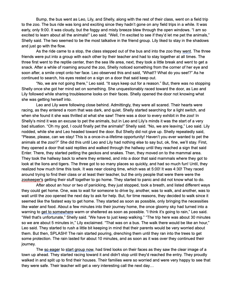 Realistic Fiction Story-7th Grade Student (2021)
