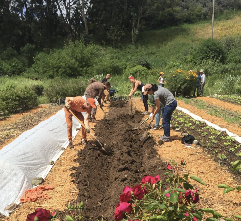 Alemany Farm Volunteer Day (Members Only)