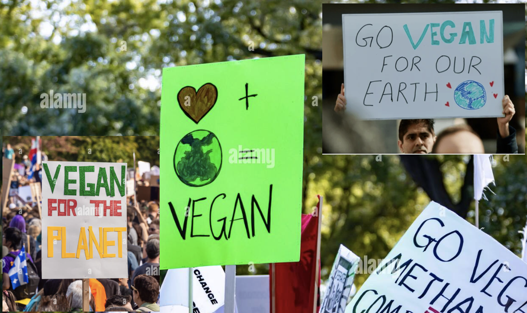 Seeds of Change: Earth Day Sign Making Party