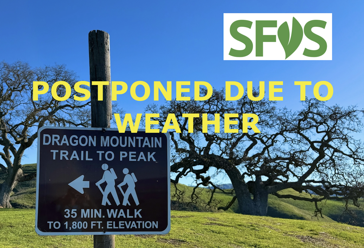 POSTPONED DUE TO WEATHER - Friday Hike and (optional) Lunch