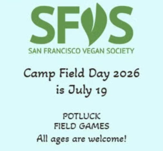SFVS Camp Field Day