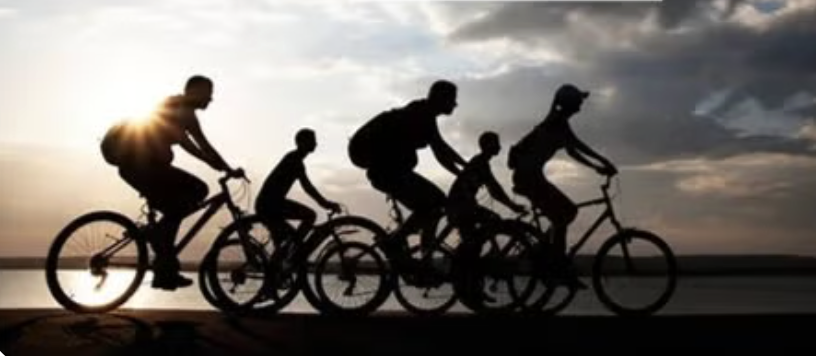 Bike the Bay trail