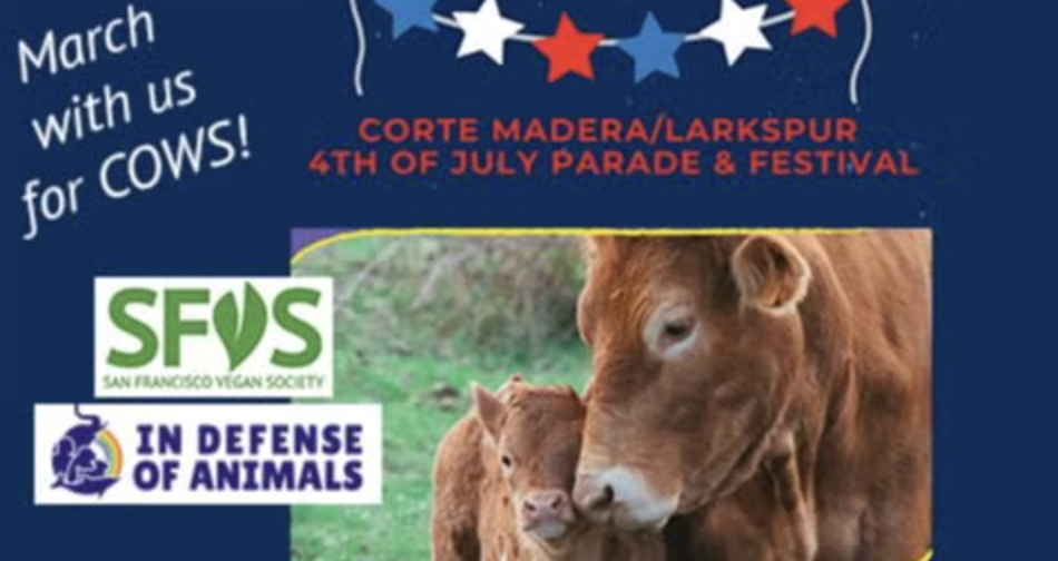 Join us in 4th of July Parade