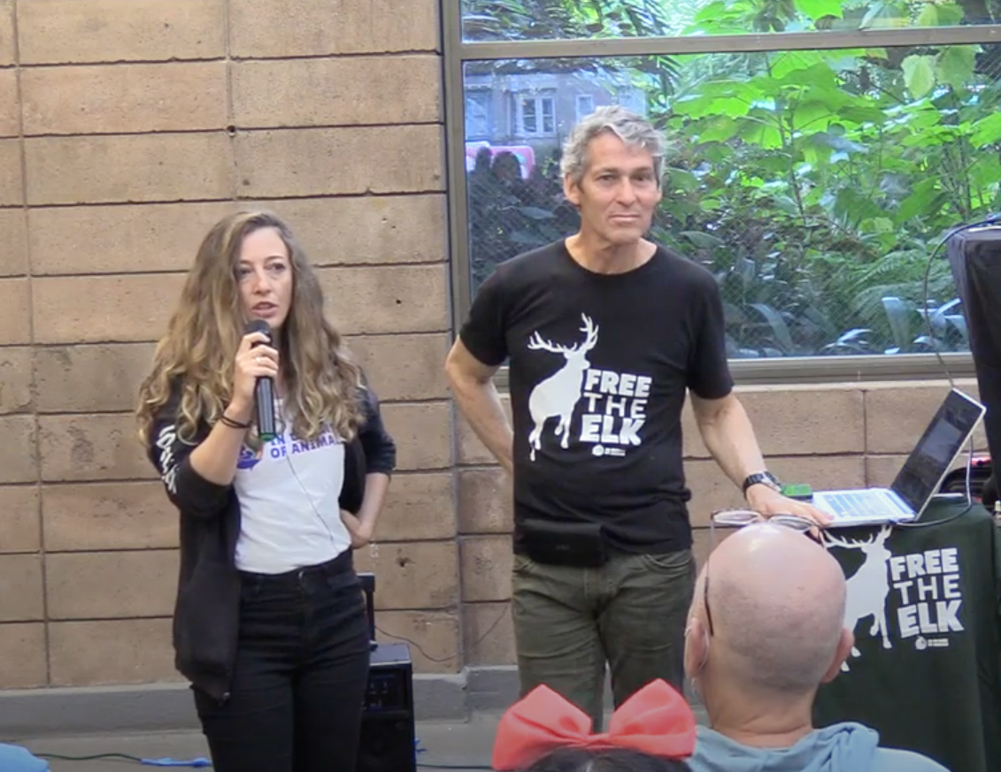 Screen Shot 2025-06-25 at 9.41.48 PM.png