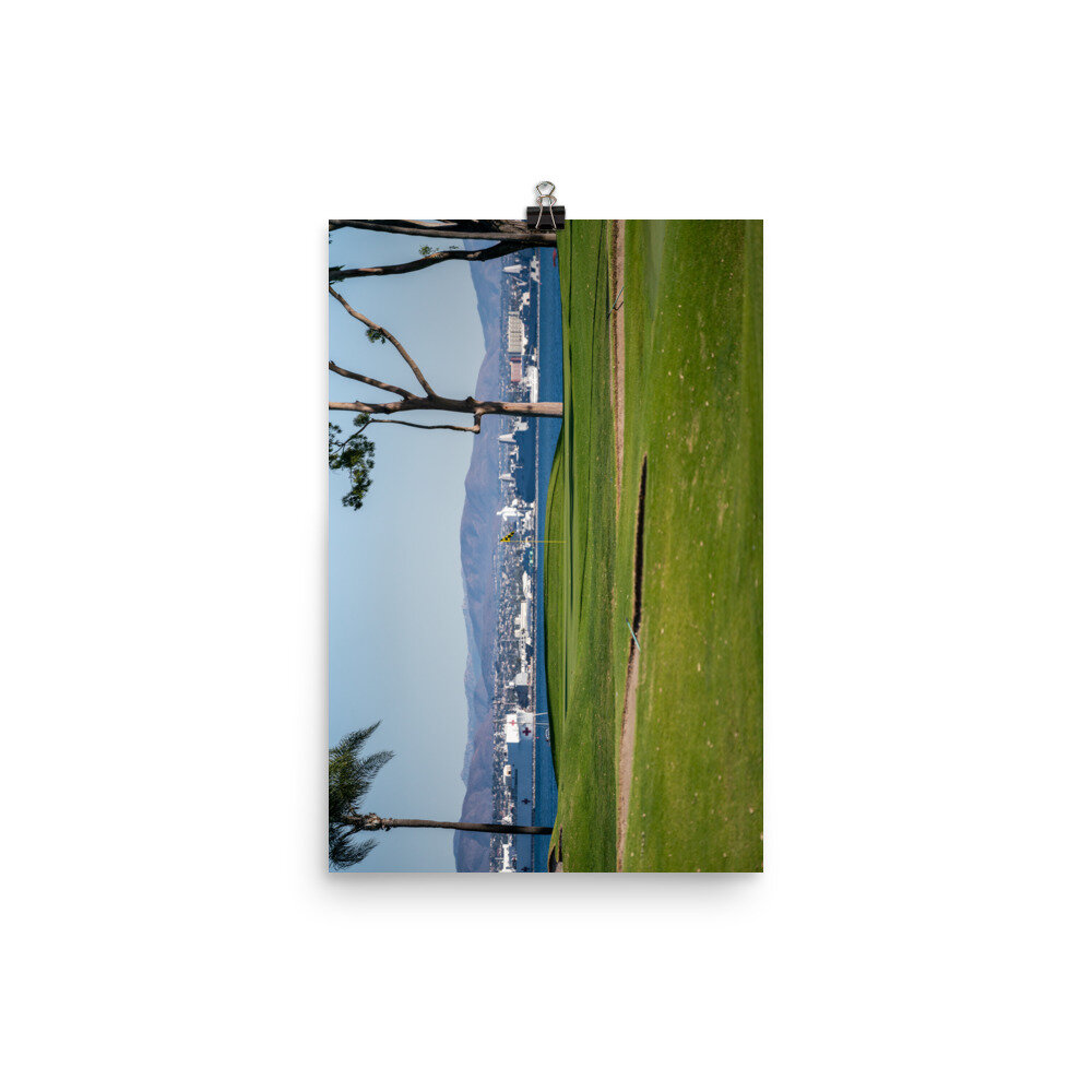 enhanced-matte-paper-poster-(in)-12x18-transparent-60e639c816f39.jpg