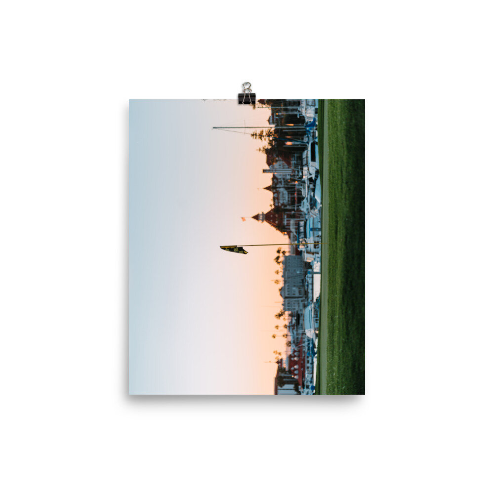 enhanced-matte-paper-poster-(in)-8x10-transparent-60e761a06fda0.jpg