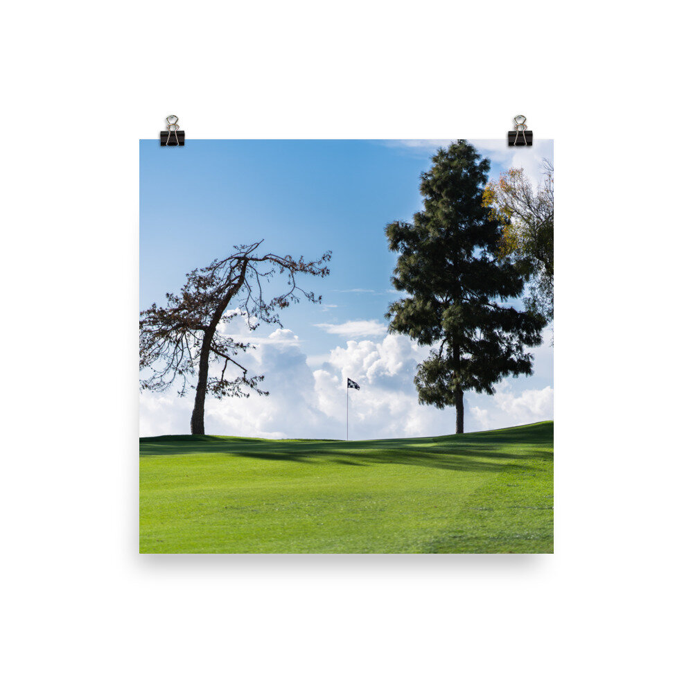 enhanced-matte-paper-poster-(in)-10x10-transparent-60e8d20c7e71b.jpg