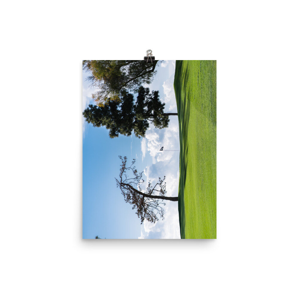 enhanced-matte-paper-poster-(in)-12x16-transparent-60e8d20c7e7eb.jpg