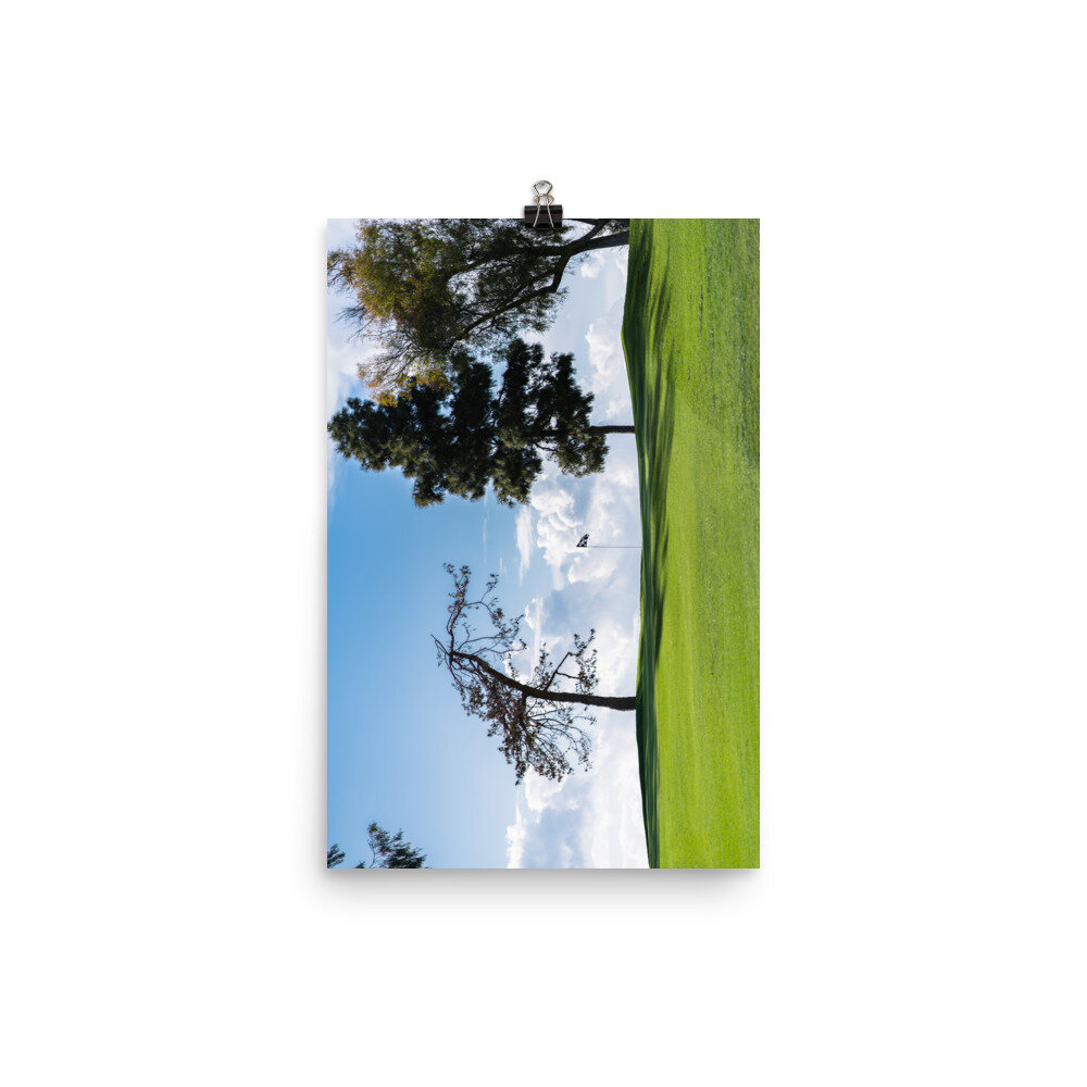 enhanced-matte-paper-poster-(in)-12x18-transparent-60e8d20c7e86d.jpg