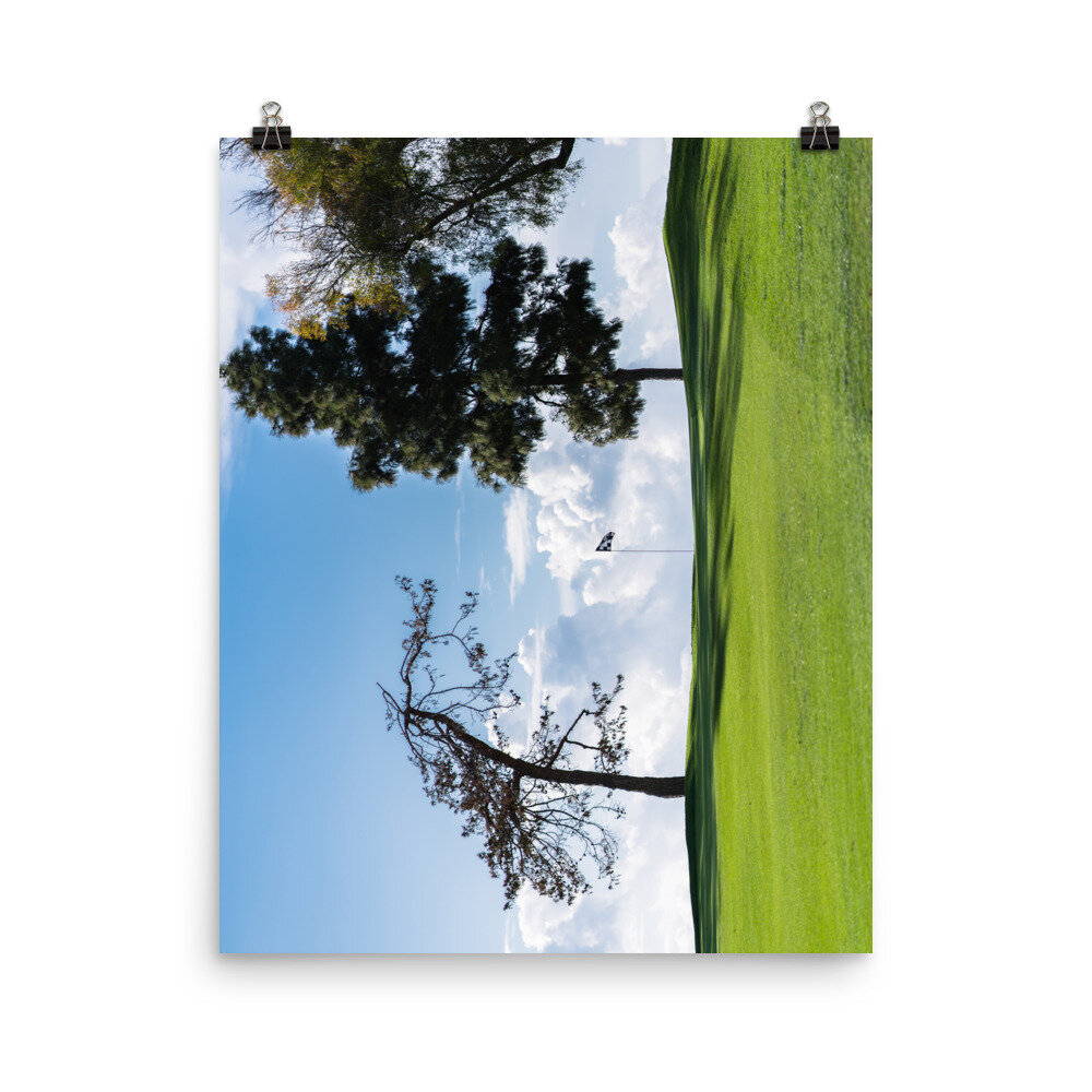 enhanced-matte-paper-poster-(in)-16x20-transparent-60e8d20c7ea5c.jpg