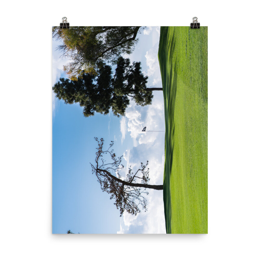 enhanced-matte-paper-poster-(in)-18x24-transparent-60e8d20c7ebe9.jpg