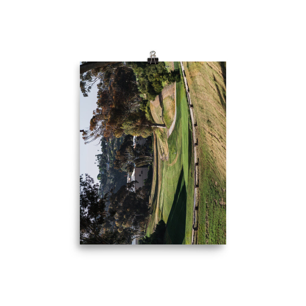 enhanced-matte-paper-poster-(in)-8x10-transparent-60ea52aa070cc.jpg