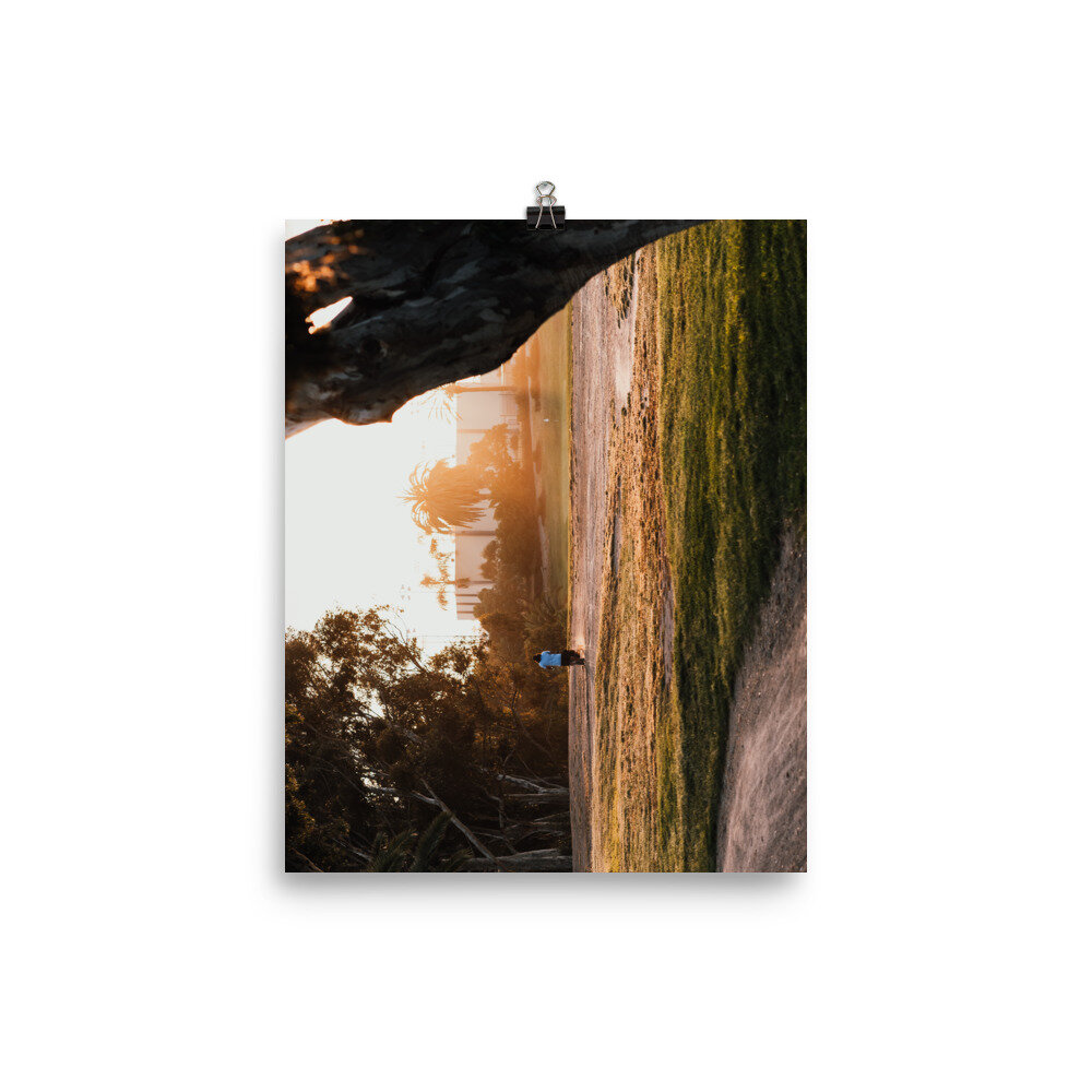enhanced-matte-paper-poster-(in)-8x10-transparent-60ea534a6721c.jpg