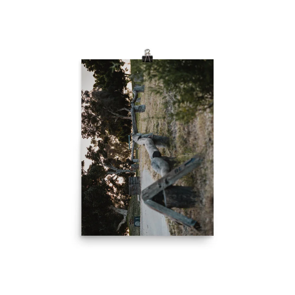 enhanced-matte-paper-poster-(in)-12x16-transparent-60ec8b7aae974.jpg