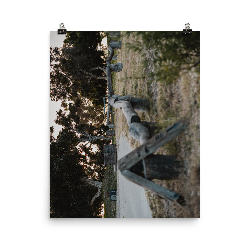 enhanced-matte-paper-poster-(in)-16x20-transparent-60ec8b7aaeb5e.jpg