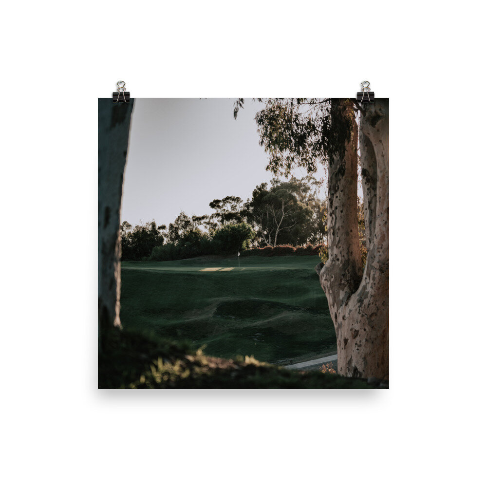 enhanced-matte-paper-poster-(in)-10x10-transparent-60ec8e1e2a22c.jpg