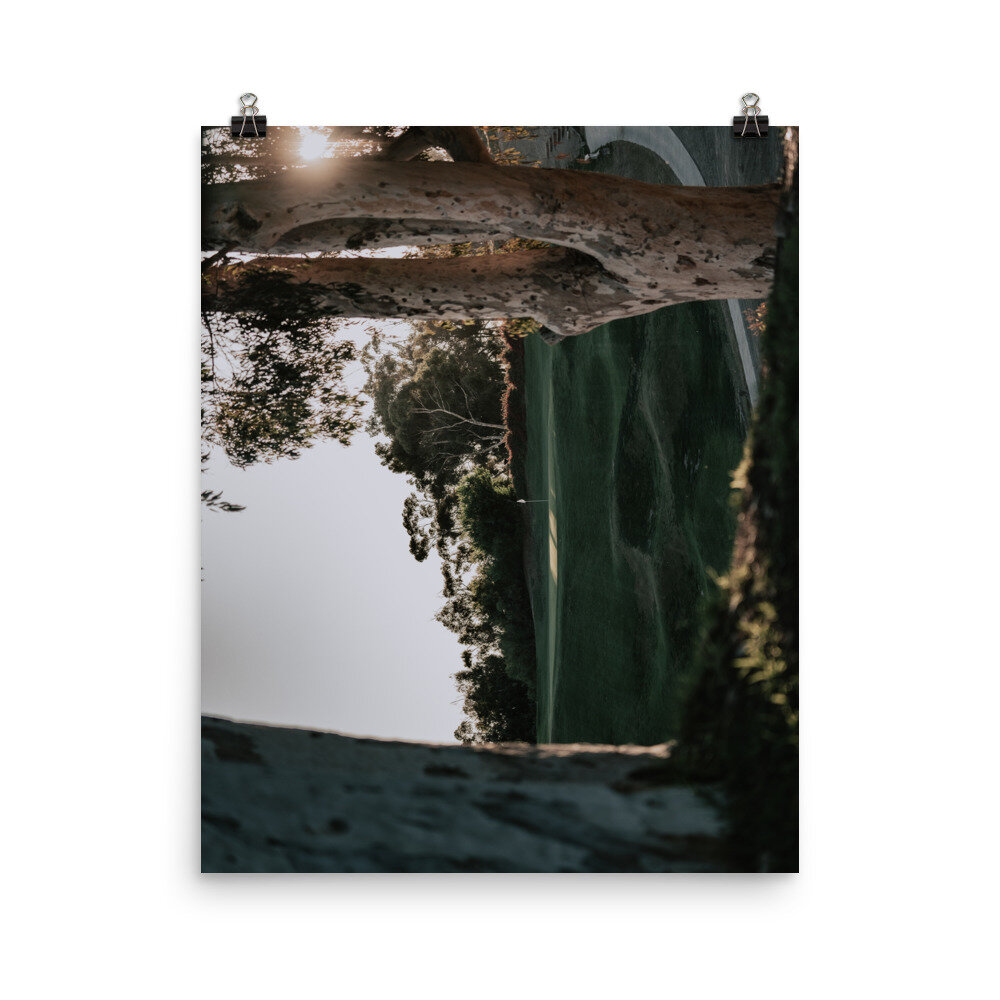 enhanced-matte-paper-poster-(in)-16x20-transparent-60ec8e1e2a507.jpg