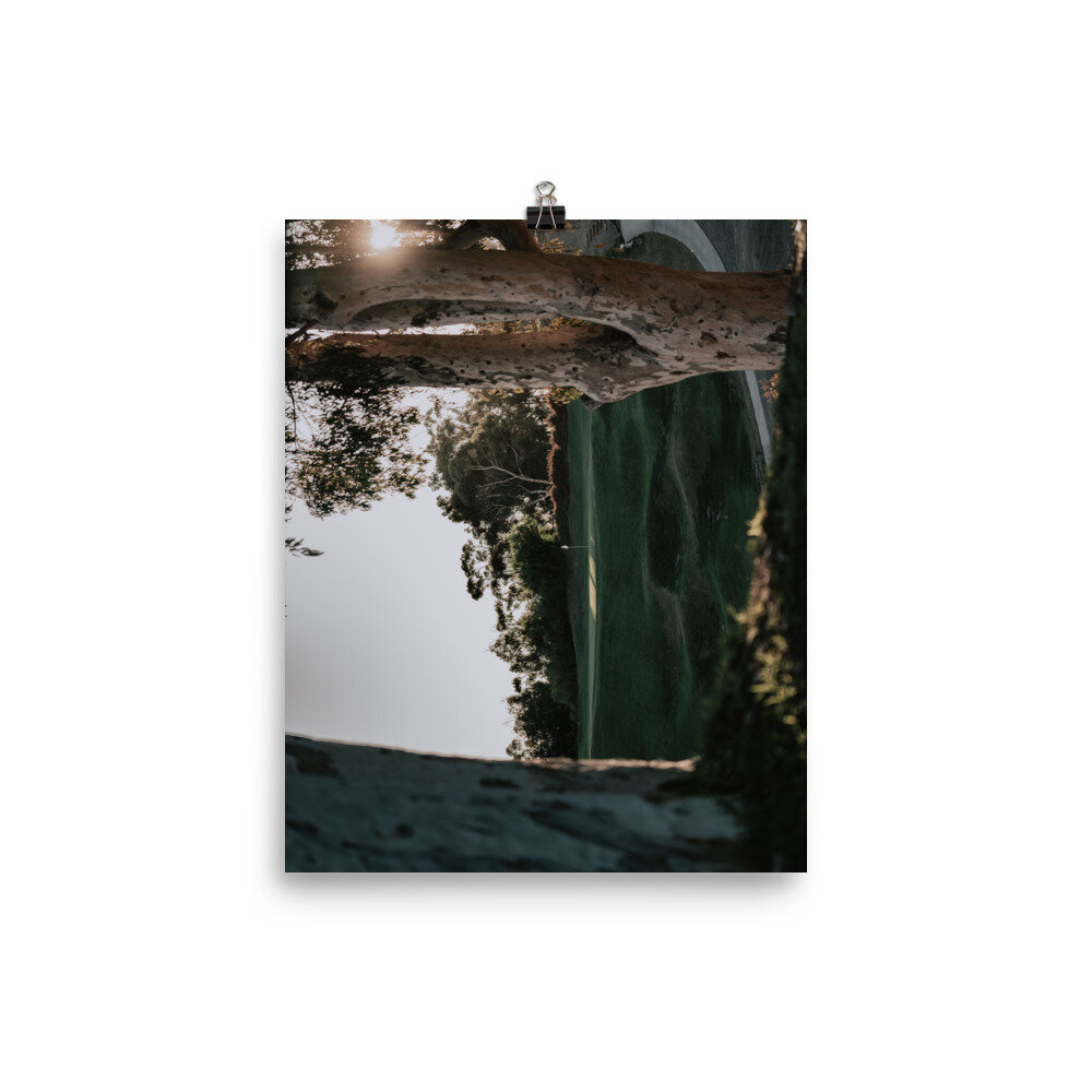 enhanced-matte-paper-poster-(in)-8x10-transparent-60ec8e1e2a6e7.jpg
