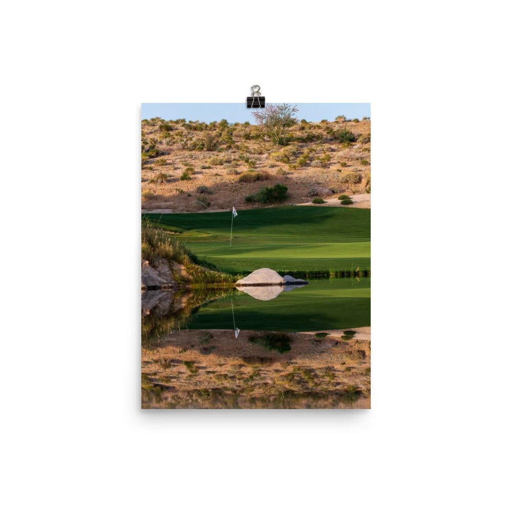 enhanced-matte-paper-poster-(in)-12x16-transparent-60ecac03e8664.jpg