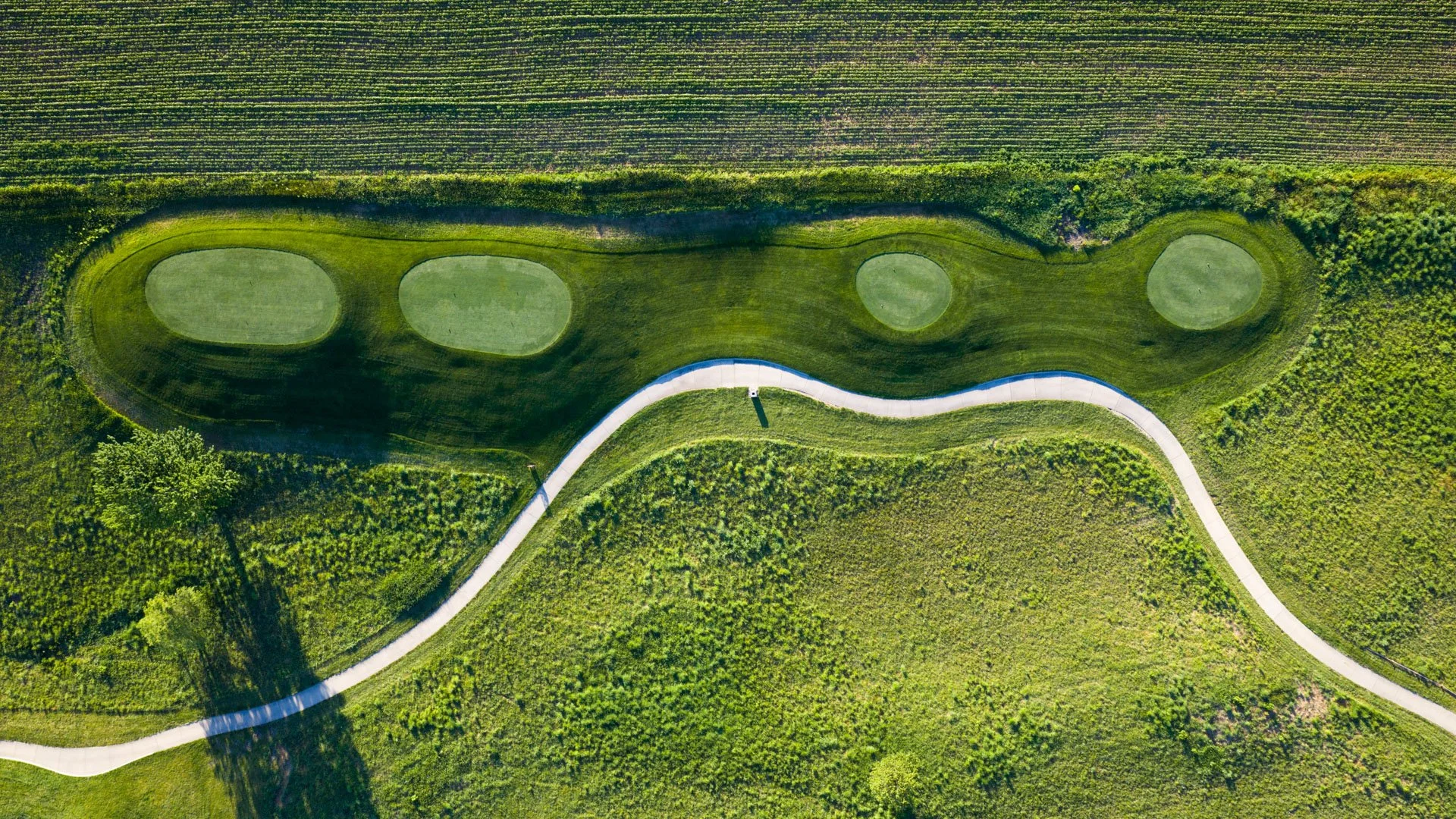 061426_ArborLinks--4.jpg