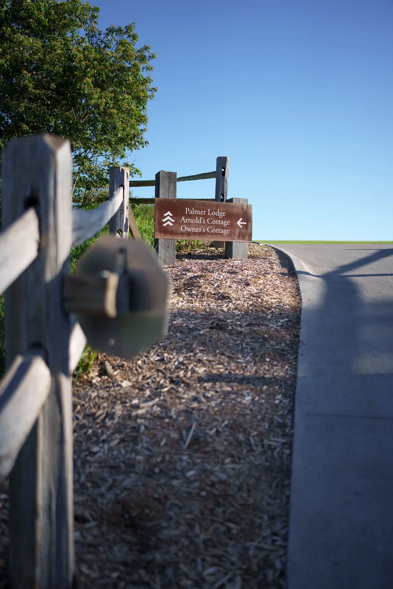 061426_ArborLinks-08088.jpg