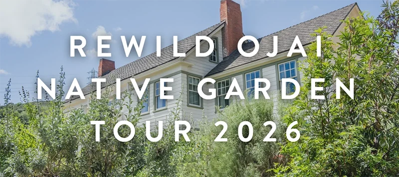 Rewild Ojai NativE Garden Tour 2026