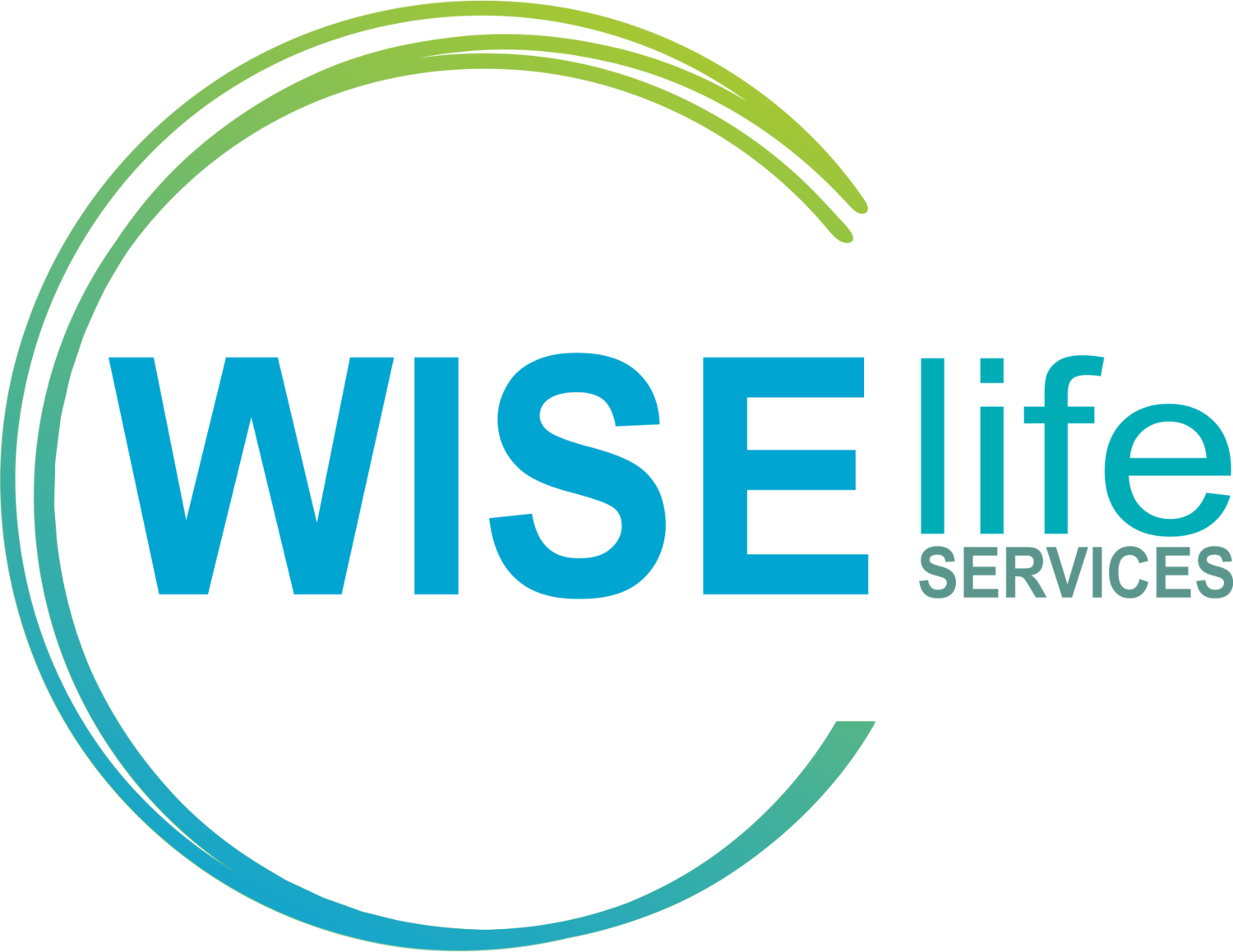 Wise Life Services: Hobart NDIS provider