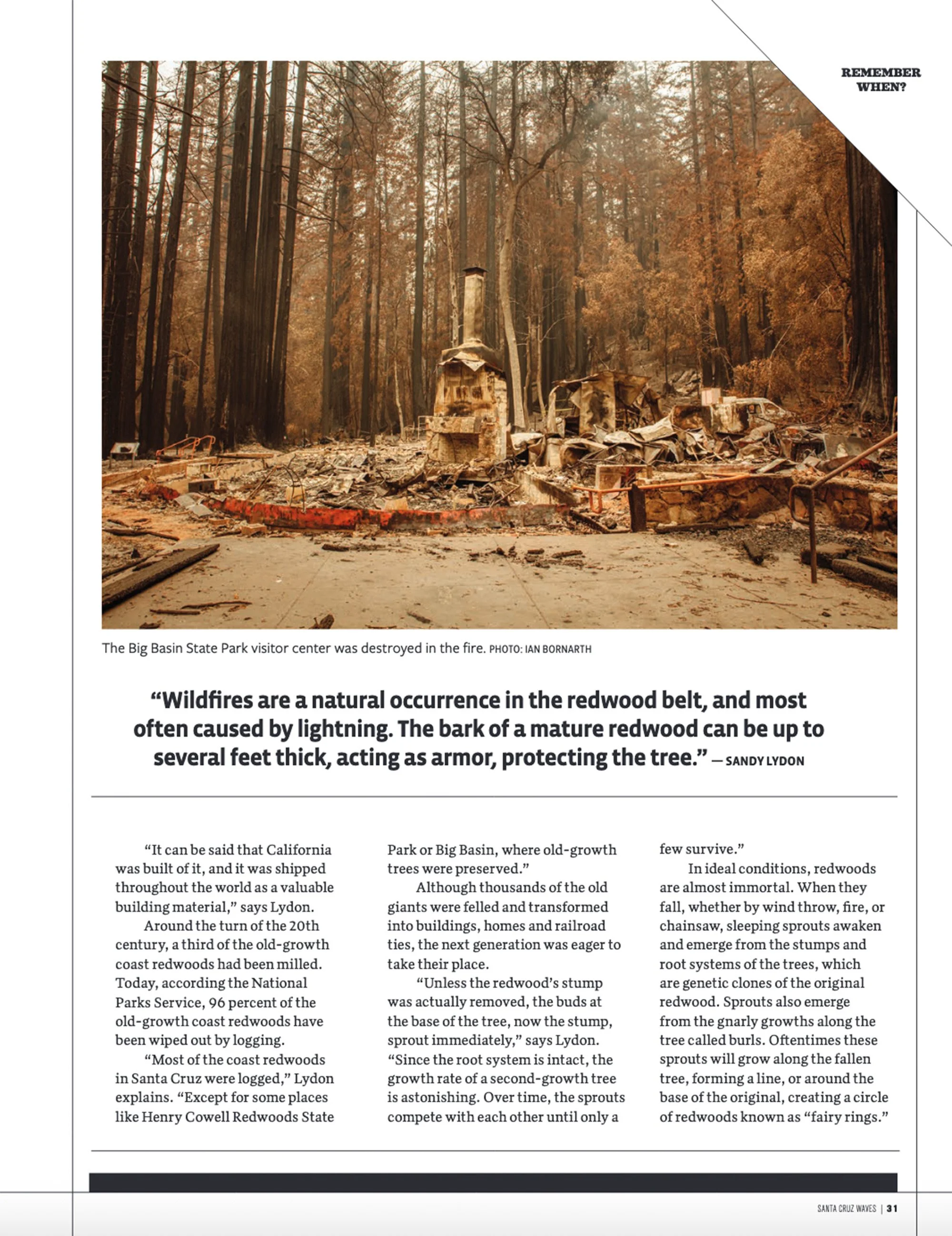 Image sourcing and historical image research and permissions for Santa Cruz Waves