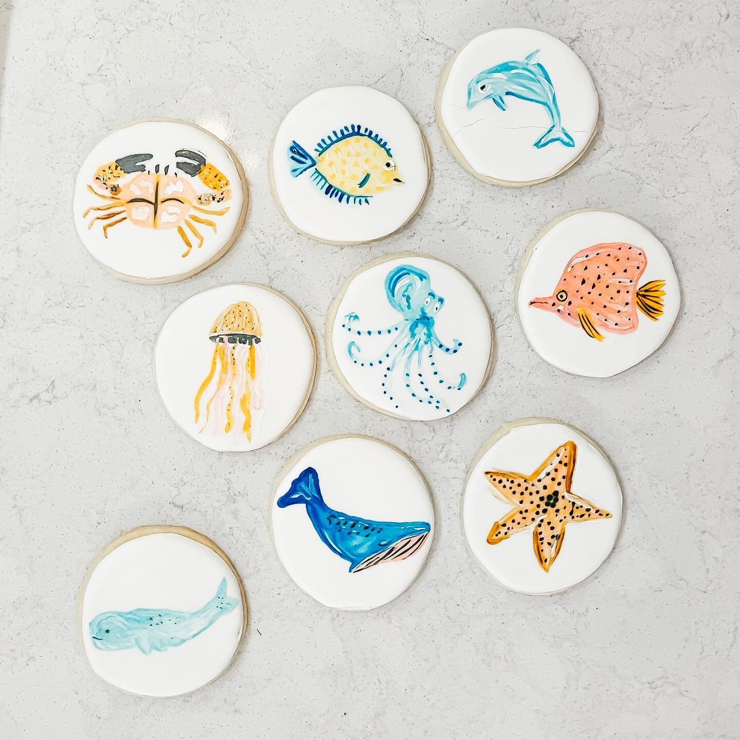 all the ocean animals for my spring break cuties

ocean animals inspired by @amberstextiles beautiful art!!