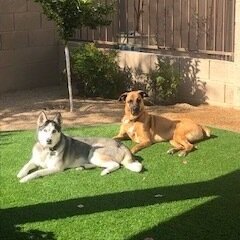Auggie and Clancy