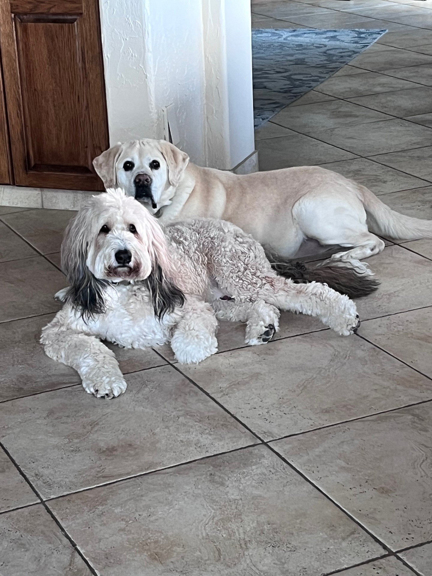 Pax and Charlie