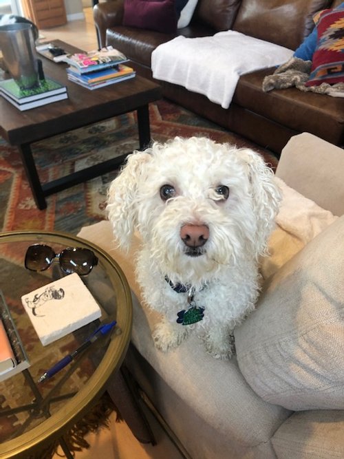 Cooper