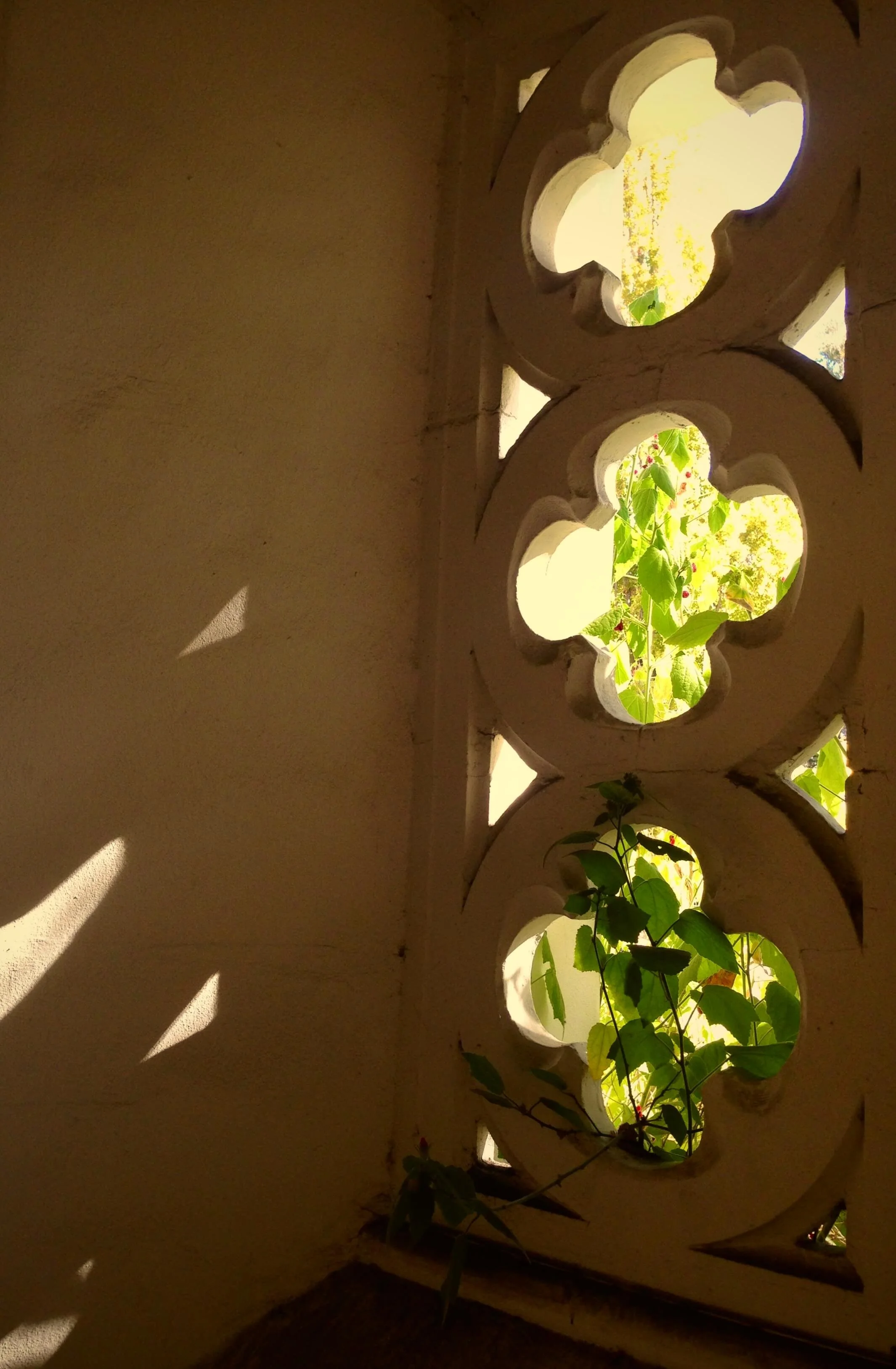 light stone wall with cutouts with greenery showing and growing through