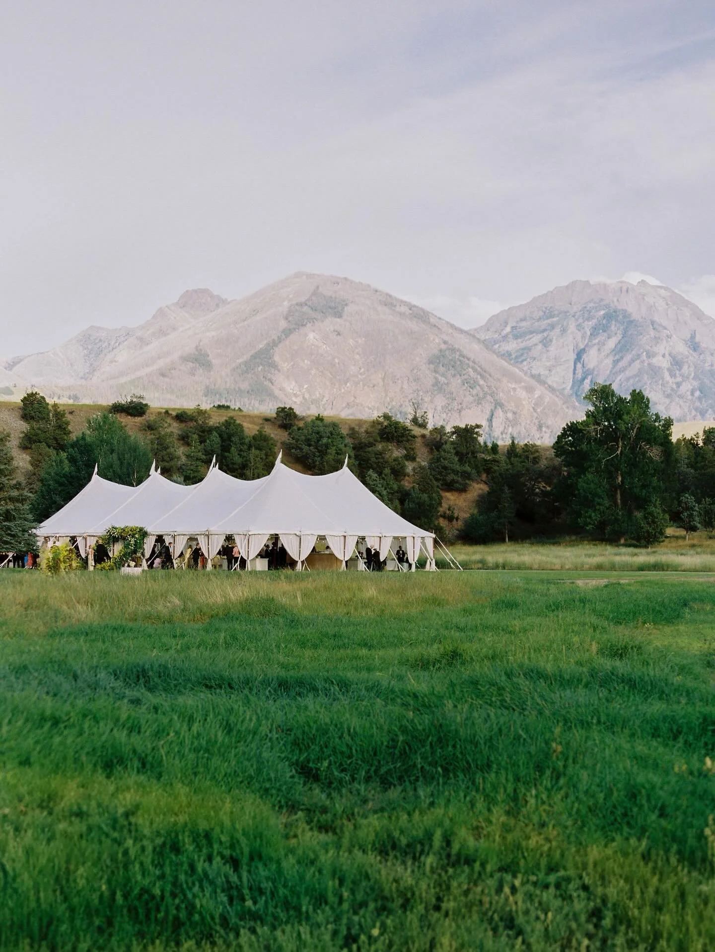 Our florals are designed to create an experience and environment&mdash; not simply arrangements for a table.
.
Florals that are felt as much as seen.
.
.
.
Photography: @olivialeigh 
Planning: @bash_eventproductions 
Tent: @gallatineventrental 
Renta