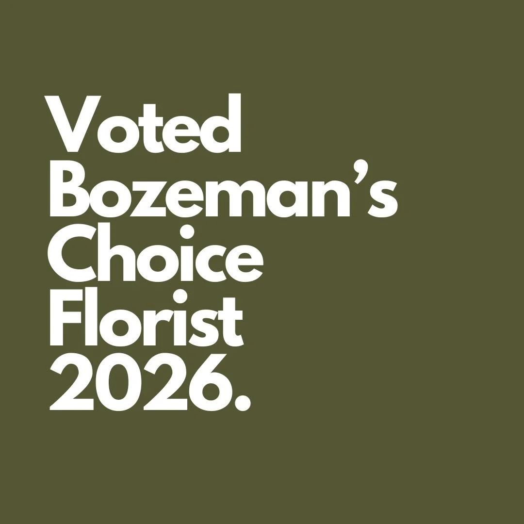 As 2025 came to a close, it did so quietly &mdash; with a lot of reflection. 
.
This past year held so much love and growth for Wild Blume as we marked ten years in business. We found ourselves turning inward, sitting with gratitude, and considering 