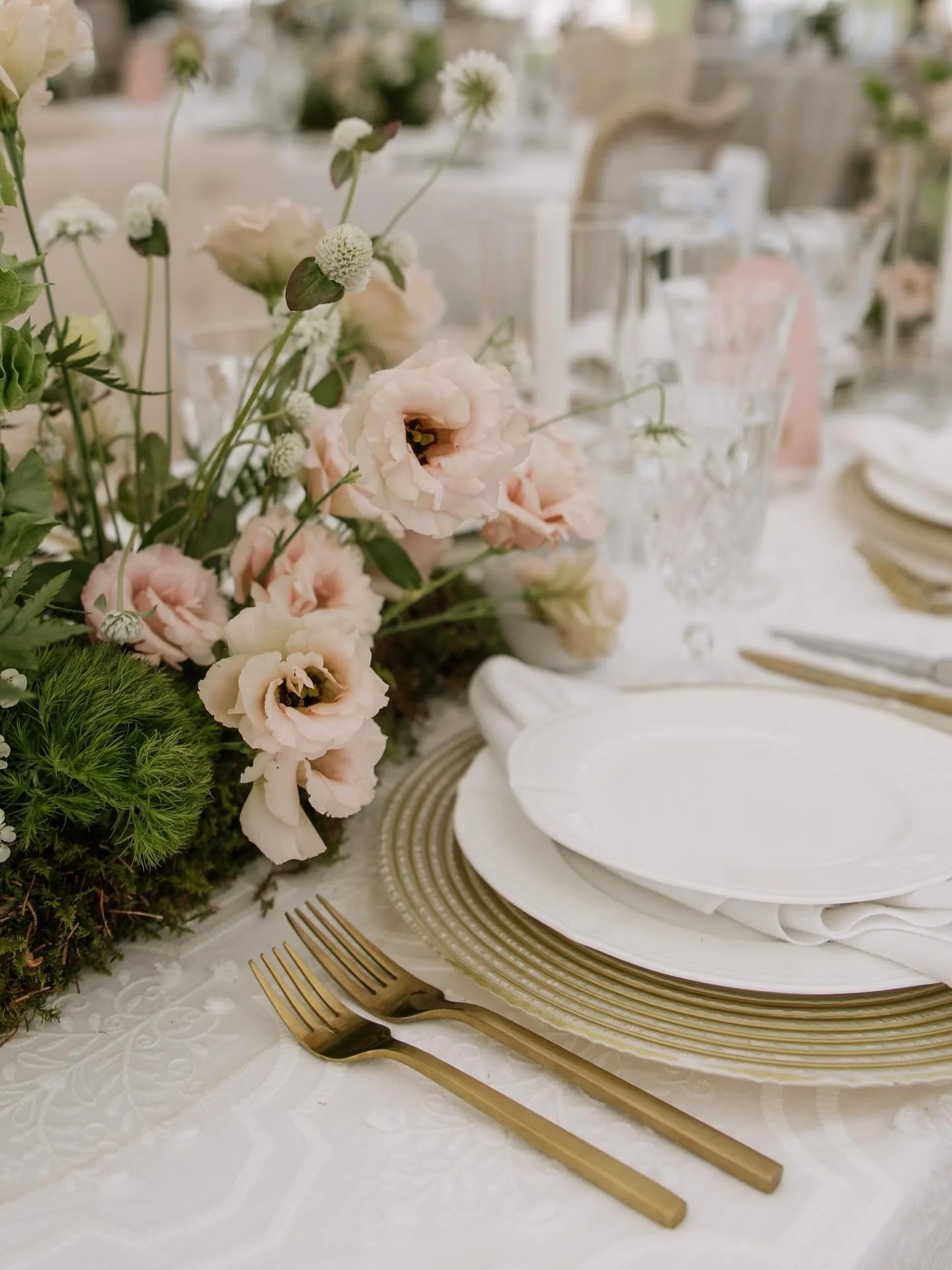 We dream about these lisianthus.
.
.
@forthewestandwildphoto 
@valeriejoyevents 
@montanapartyrentals