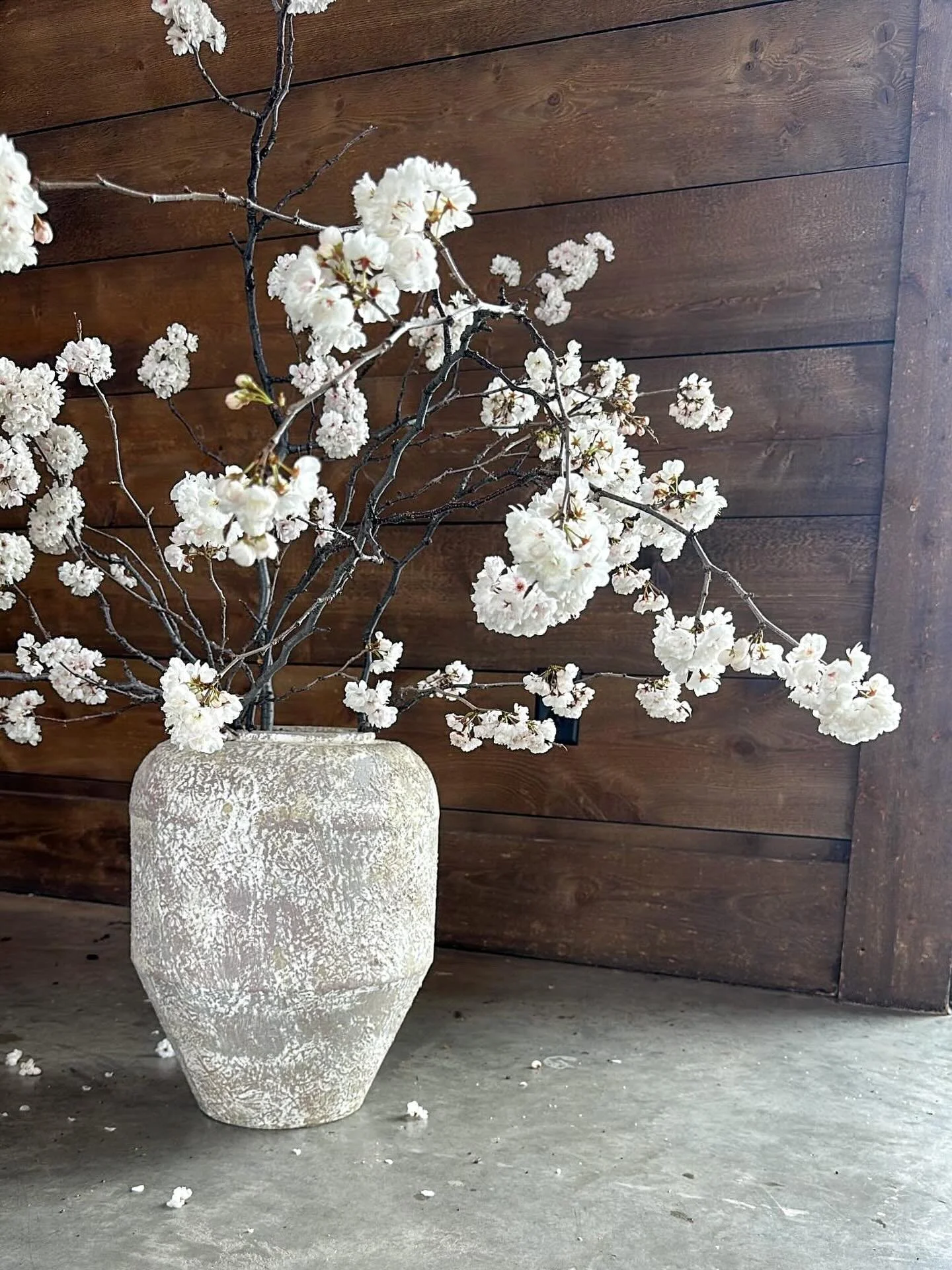 spring. {and a recap of a hard lesson}
.
just a reminder that local flowers are coming &mdash; and that&rsquo;s just everything really.
.
.
Last week I relearned a hard lesson &mdash; shipped in blooming branches are hard and being able to see someth