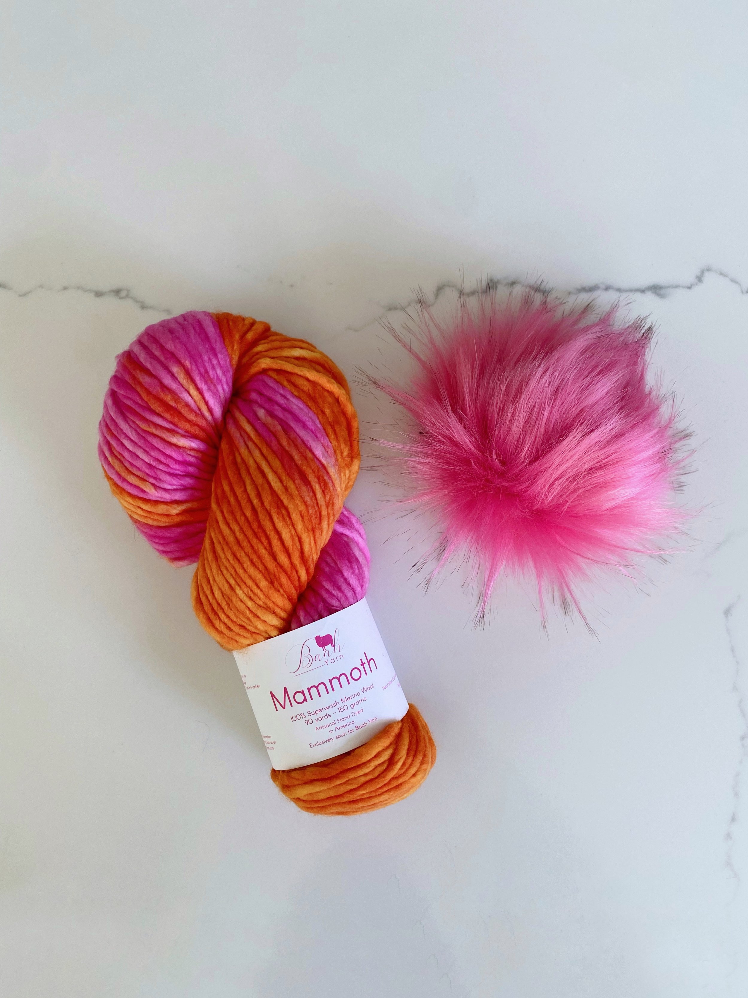 Mammoth in February 25 + Dahlia Pom