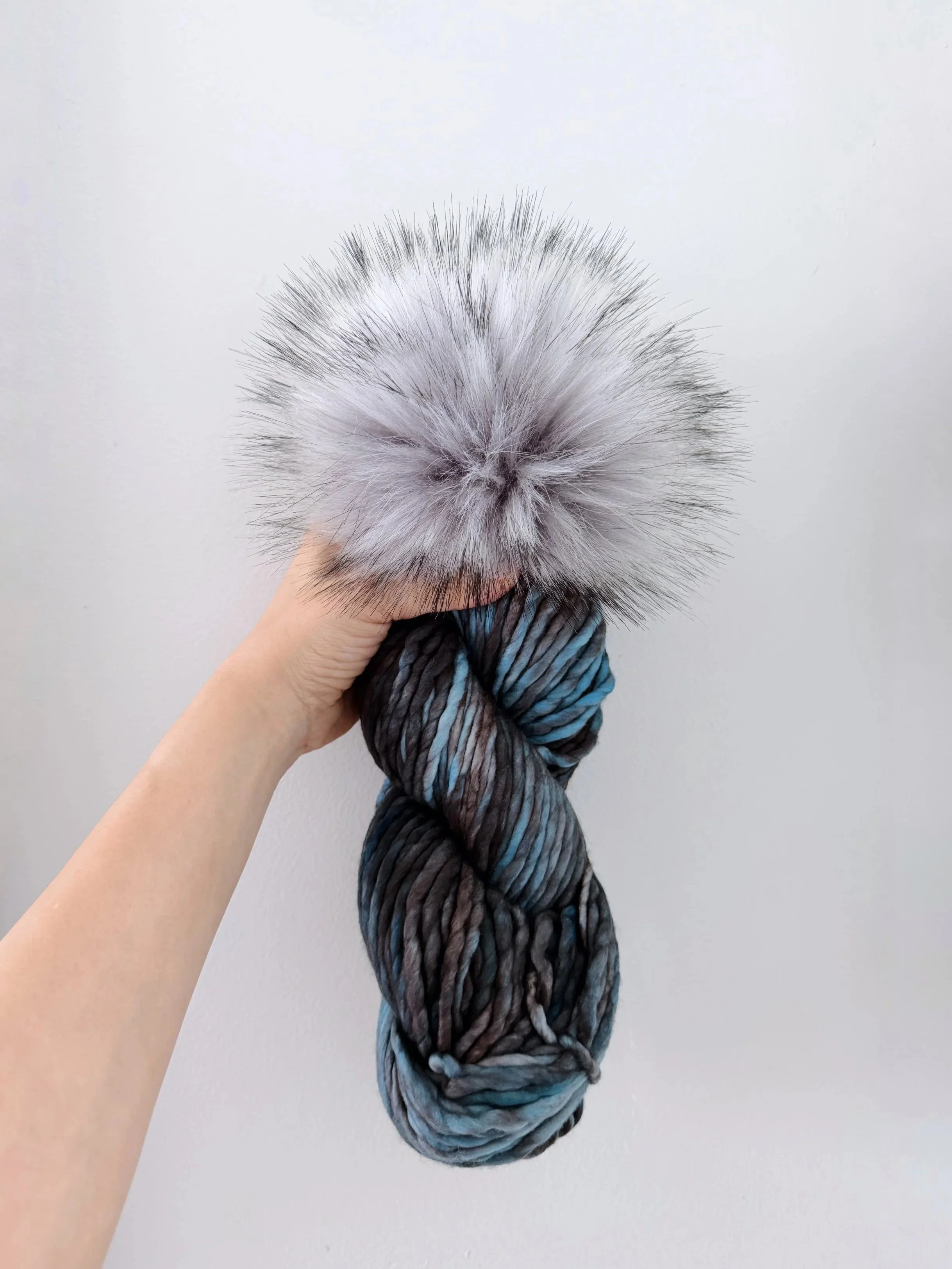 Rasta in Persia + Koala Pom