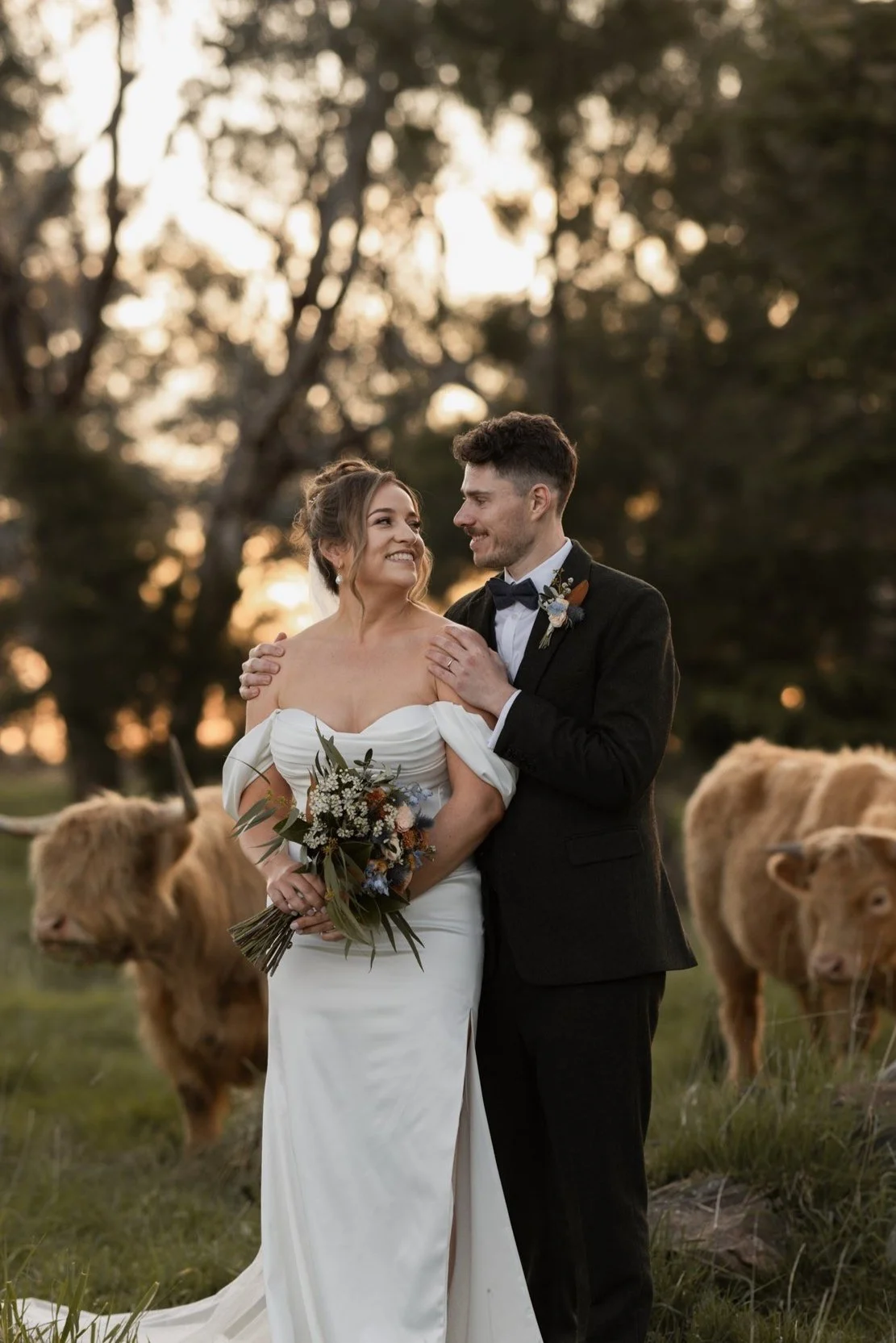 A bride and groom standing close together outdoors during a sunset, surrounded by a few cows grazing nearby, with trees and a warm sky in the background.