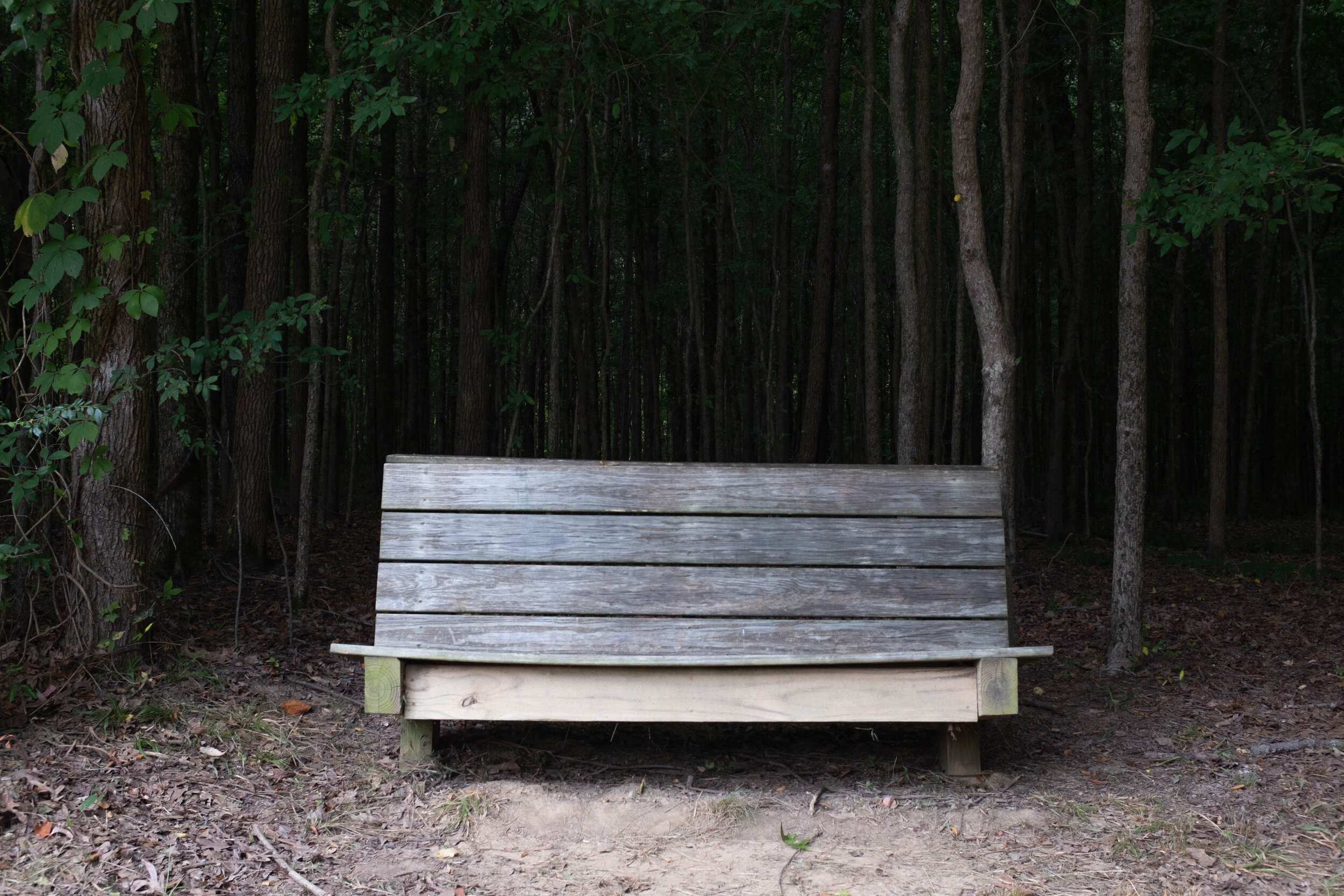 Sure, have a seat. Nothing in the deep, dark woods behind you would ever sneak up on you while you’re resting… :O