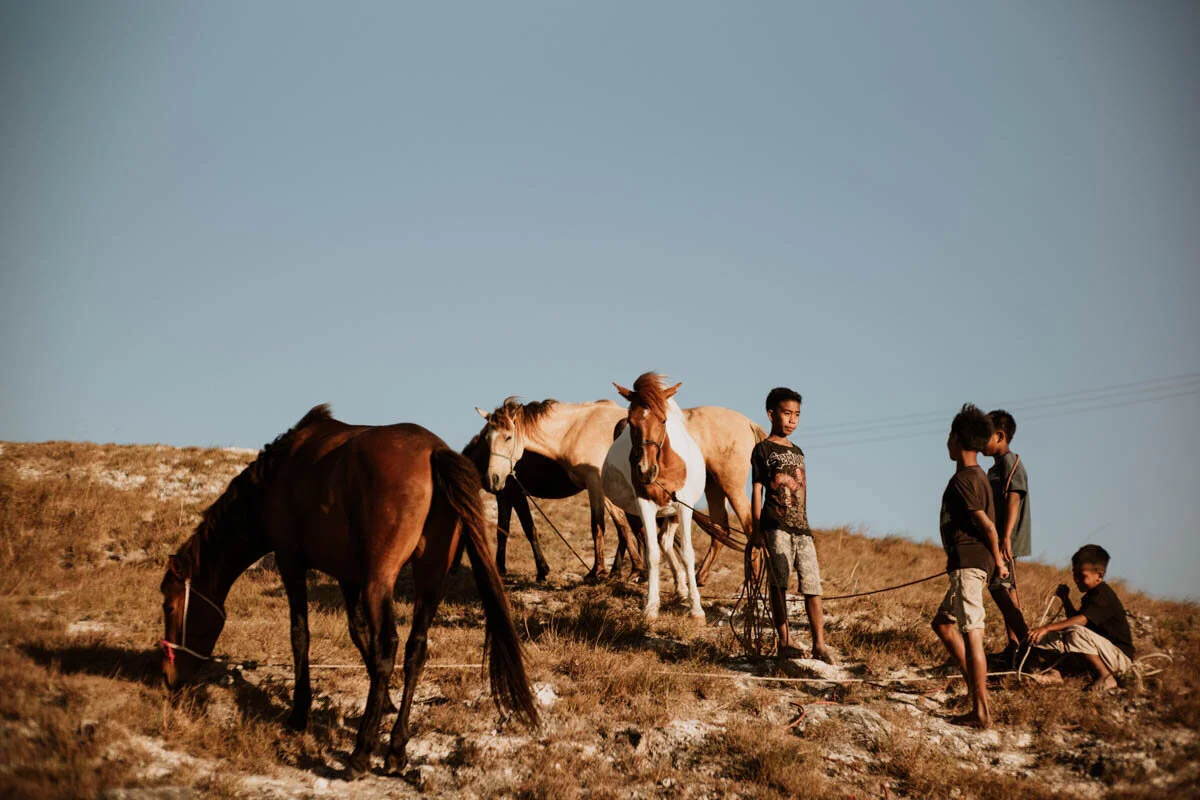DL_SUMBA_EDITED-284.jpg