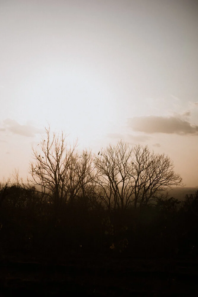 N+J_EDITED-206.jpg