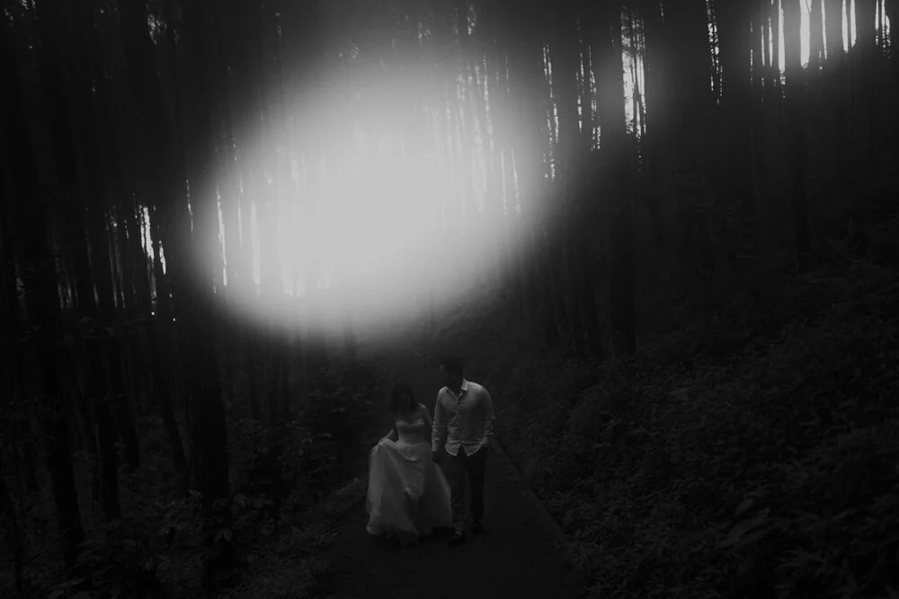 william+liani+website+resize-86.jpg