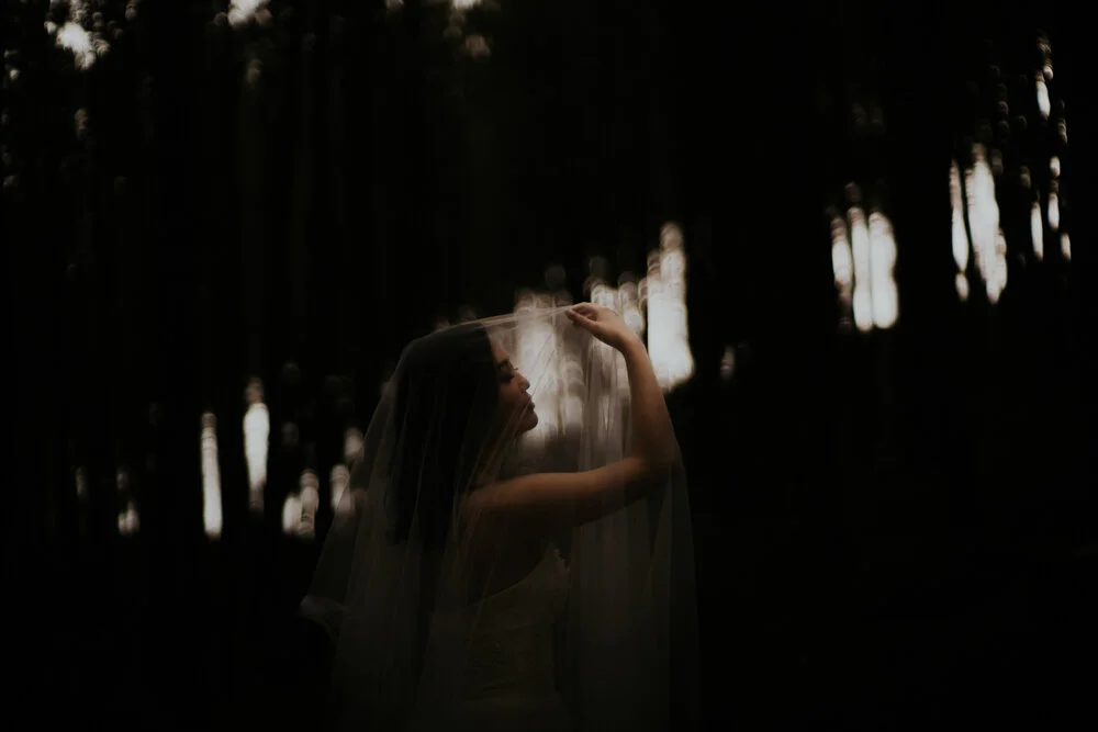william+liani+website+resize-91.jpg