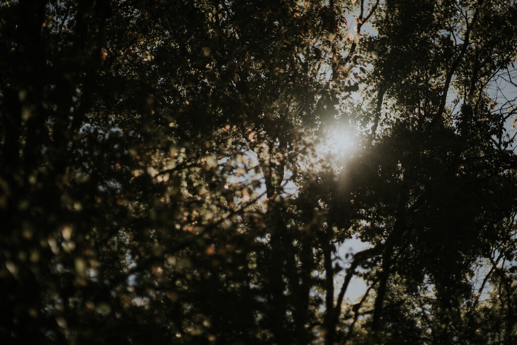 A+N_EDITED-165.jpg
