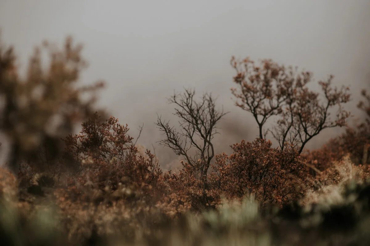 G+L_EDITED-83.jpg