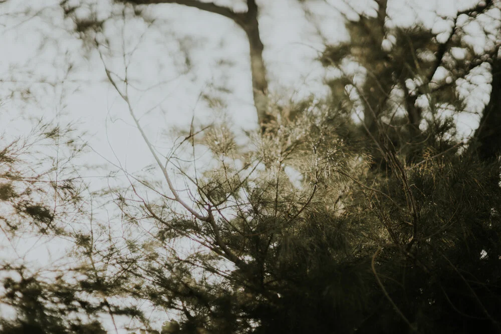 S+H_resize-89.jpg