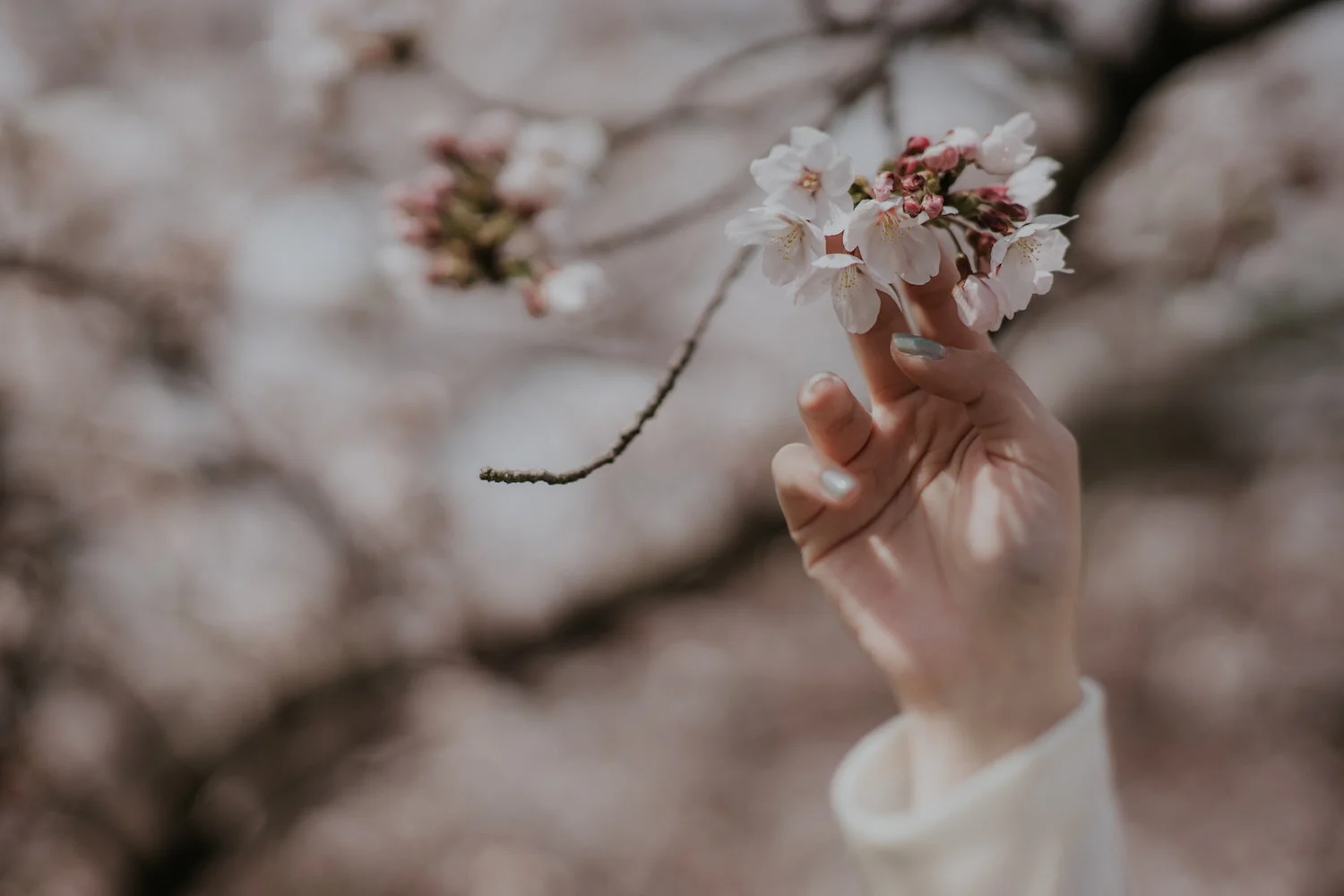 V+++I+Edited-144.jpg